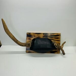 Naturally Shed Wild Moose Antler Horn‎ Knife Carving Chew Taxidermy UNIQUE RARE